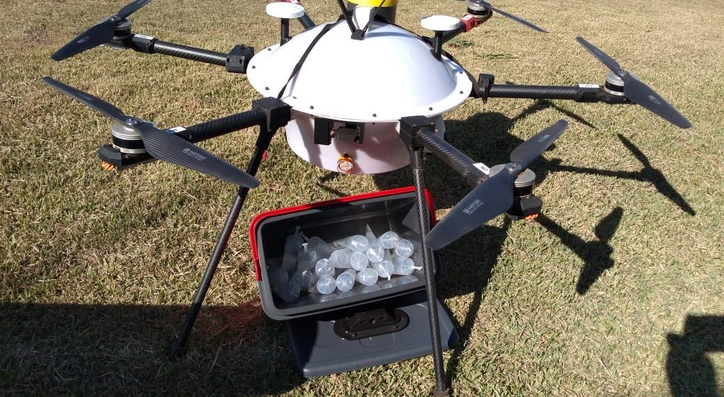 Com drone e energia solar, granja do futuro está chegando na BRF