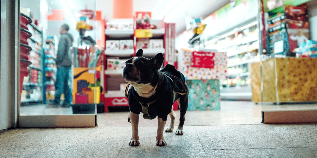 Crescimento e oportunidades do mercado pet no Brasil