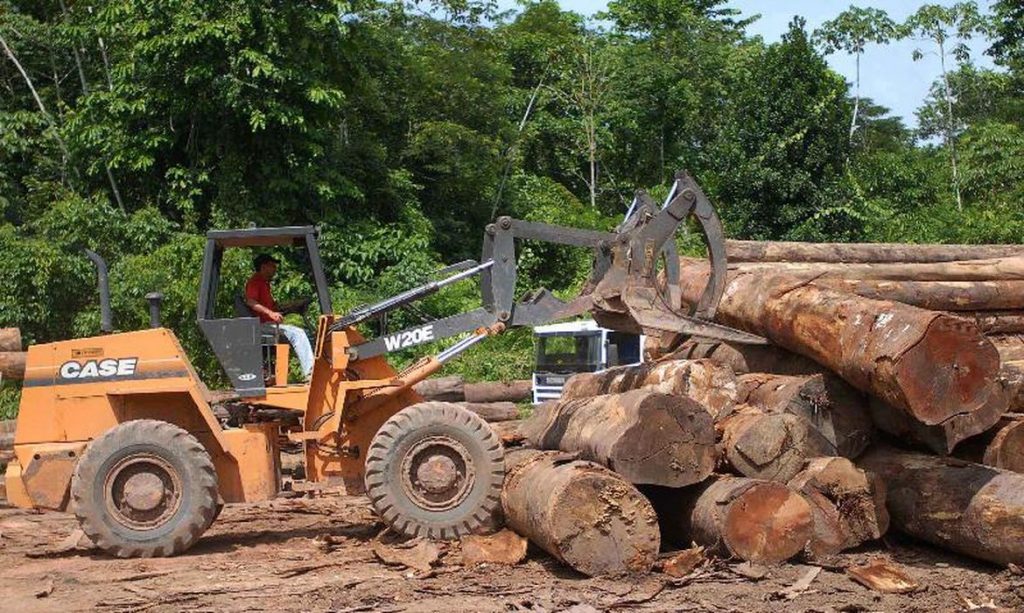 Trinta instituições financeiras prometem eliminar investimento ligado a desmatamento