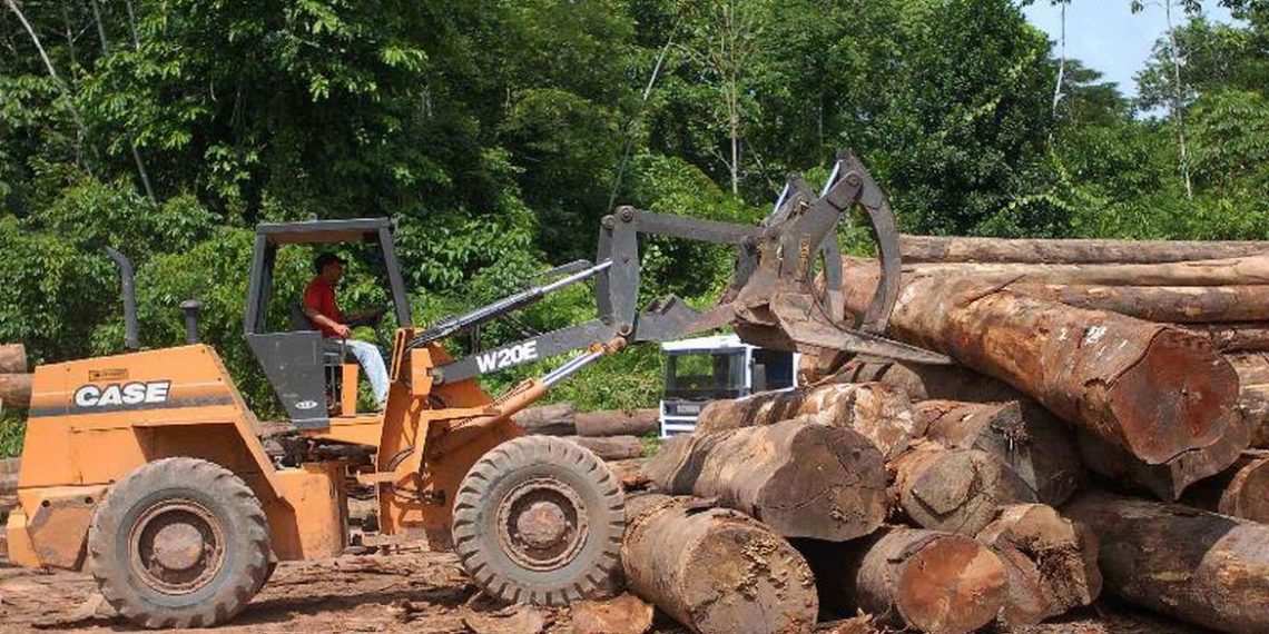 Trinta instituições financeiras prometem eliminar investimento ligado a desmatamento