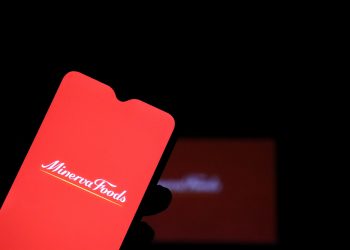 Minerva conclui formação de joint venture com Amyris para produção de proteína sustentável