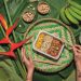 Foodtech Urban Farmcy lança linha de produtos no conceito health-based
