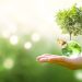 EDP, Renner, Telefônica, CPFL e Natura lideram ranking de sustentabilidade da B3