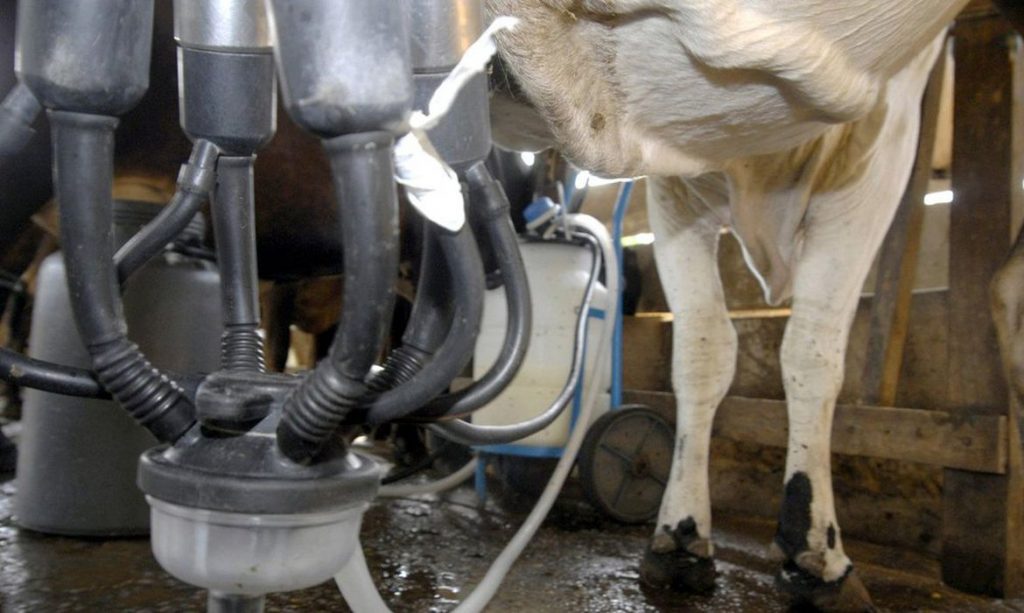 Brasil abre mercados para carne bovina, lácteos e material genético
