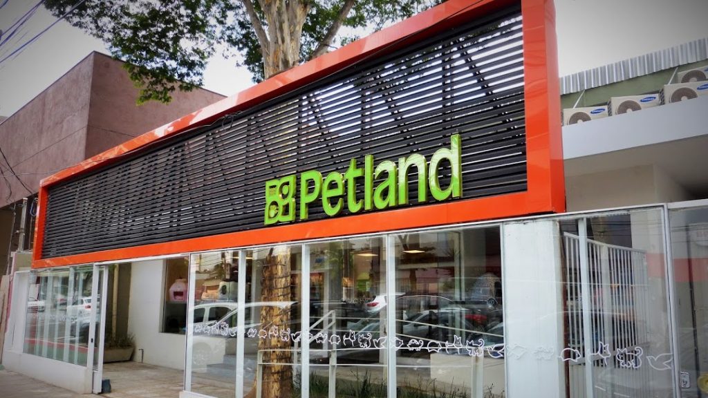 Petland&CO investe em retrofit para ampliar número de franqueados