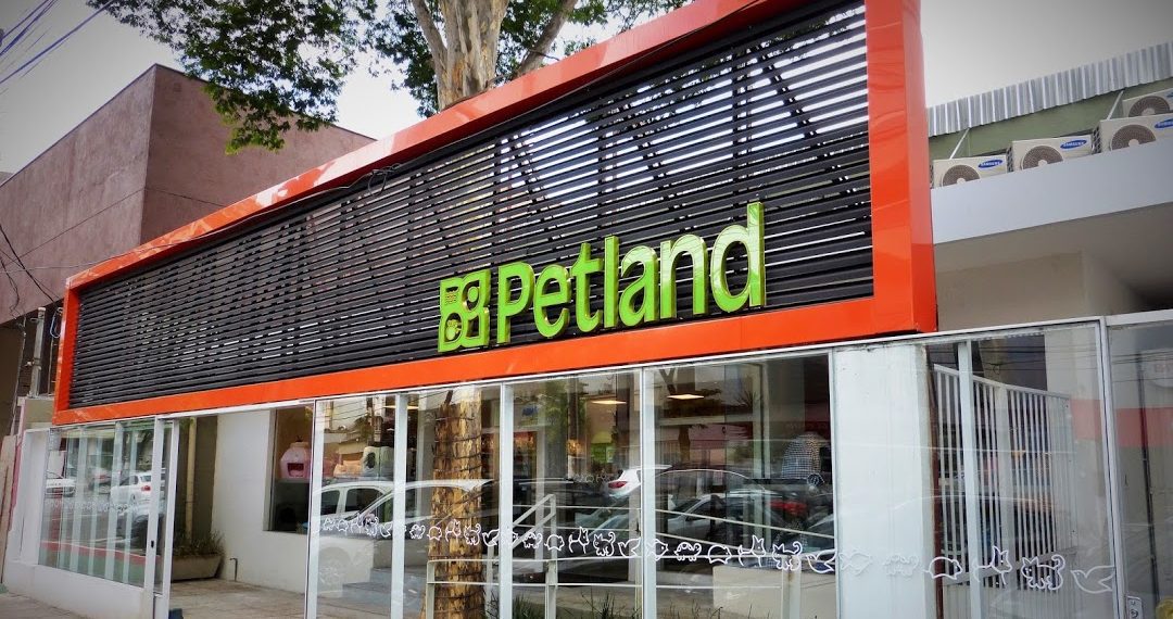 Petland&CO investe em retrofit para ampliar número de franqueados