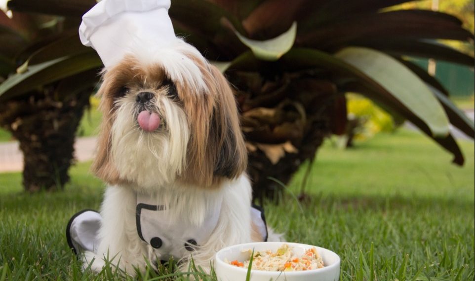 Natural da Terra lança marca própria de alimentação fresca para pets