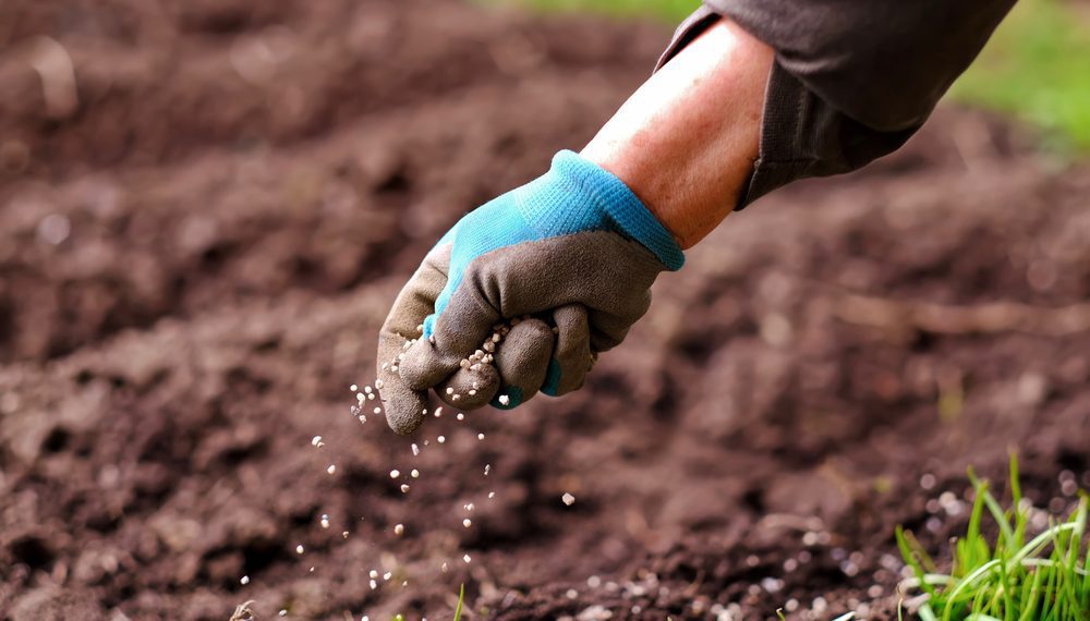 JBS investe R$ 134 milhões para produzir fertilizantes