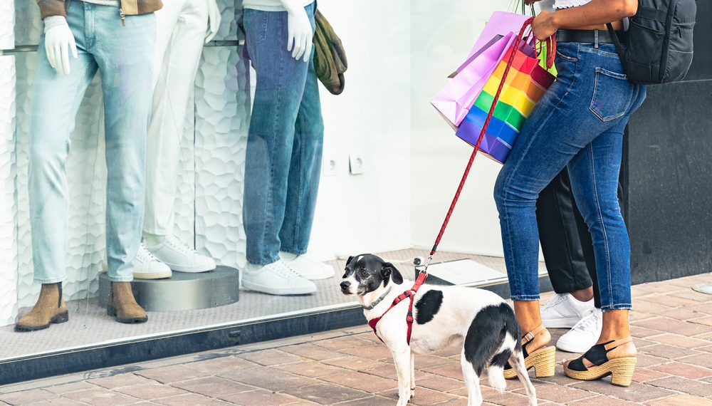 Nove em cada dez shoppings adotam ambientes pet friendly