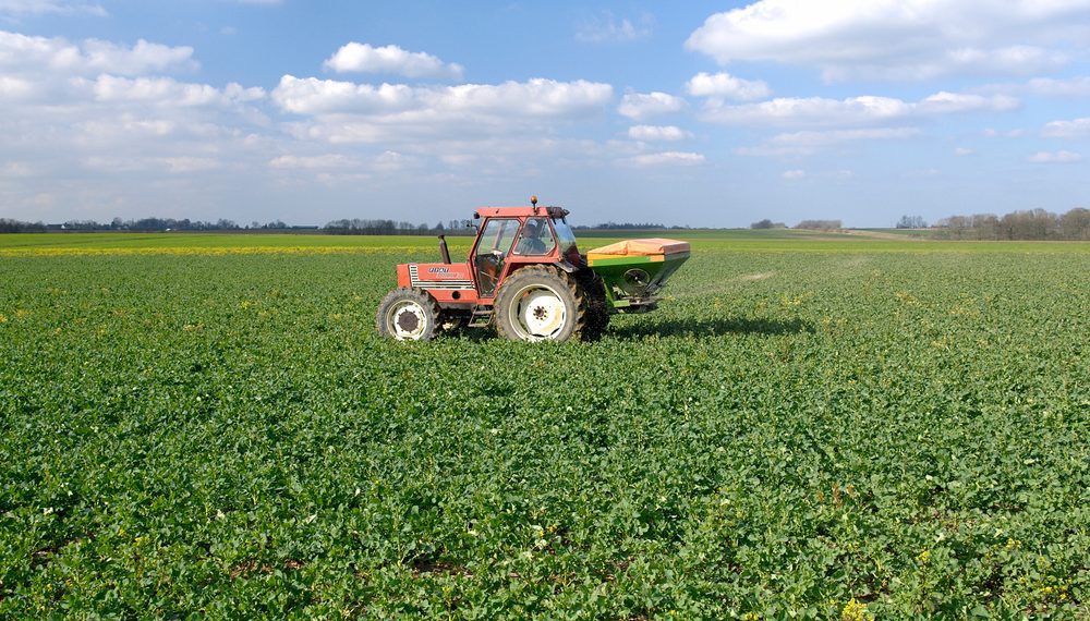 Grupo Sinagro inaugura 7 lojas no Cerrado e prevê alcançar 62 unidades em 2022