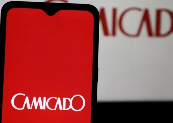 Camicado