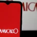 Camicado
