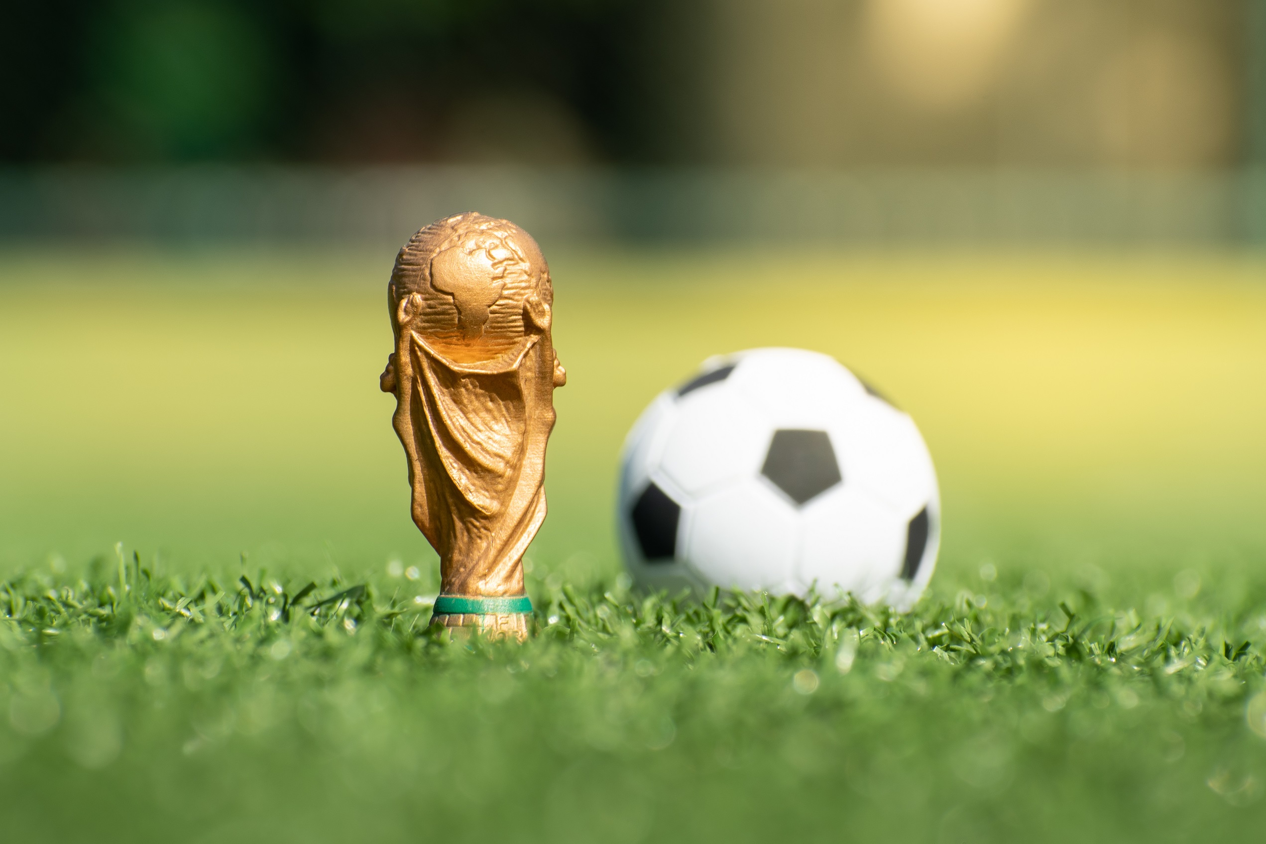 Jogos de amanhã da Copa do Mundo 2022: horários do dia #7