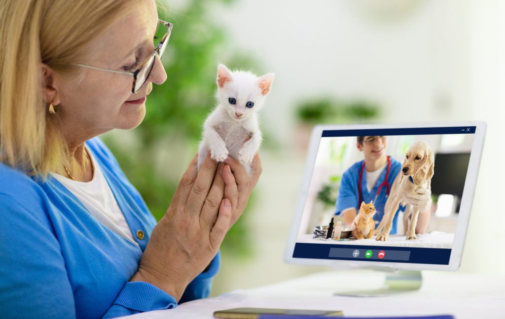 Startup Dr Mep é a primeira em telemedicina para pets no mundo