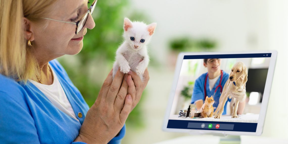 Startup Dr Mep é a primeira em telemedicina para pets no mundo