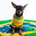Copa do Mundo movimenta comércio popular no Brás e fluxo de consumidores bate recorde