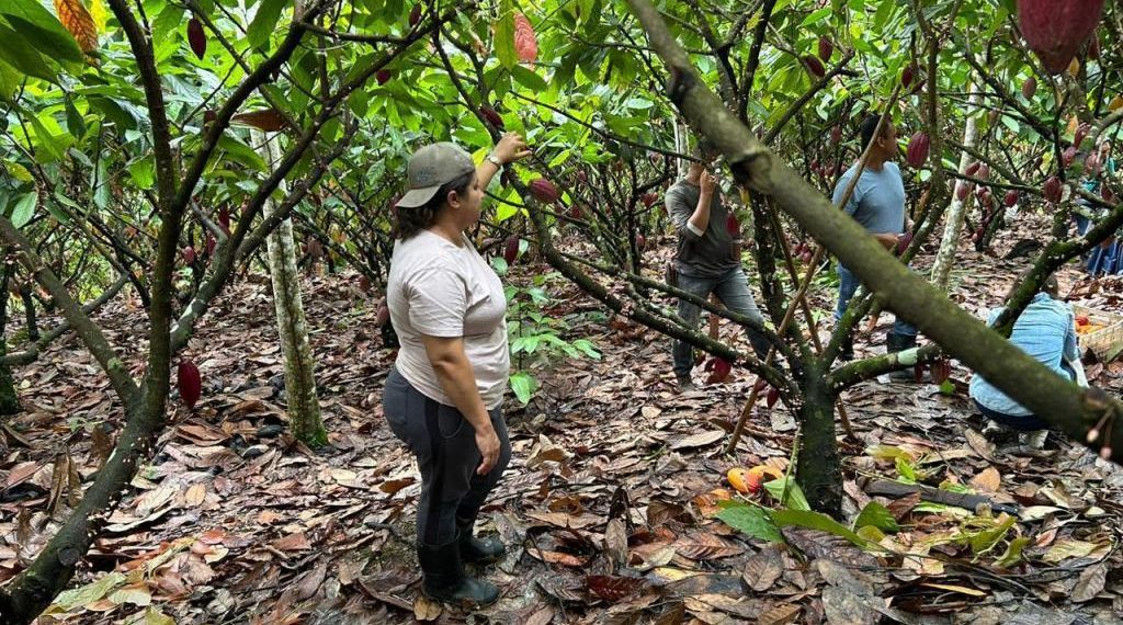 Lacta lança curso de empreendedorismo voltado para mulheres da comunidade cacaueira