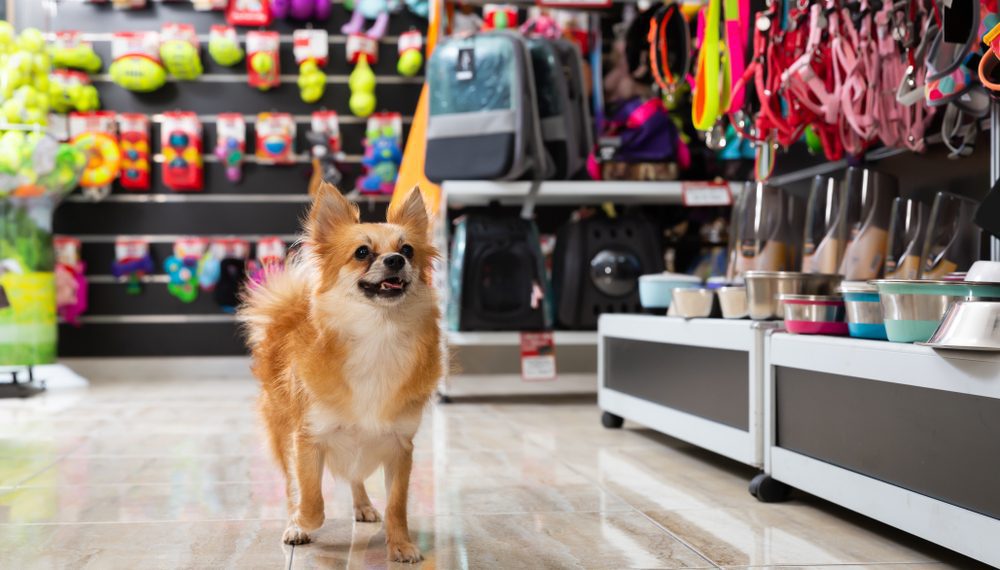 Busca por pet shops está entre principais motivos da ida de consumidores aos shoppings Shutterstock