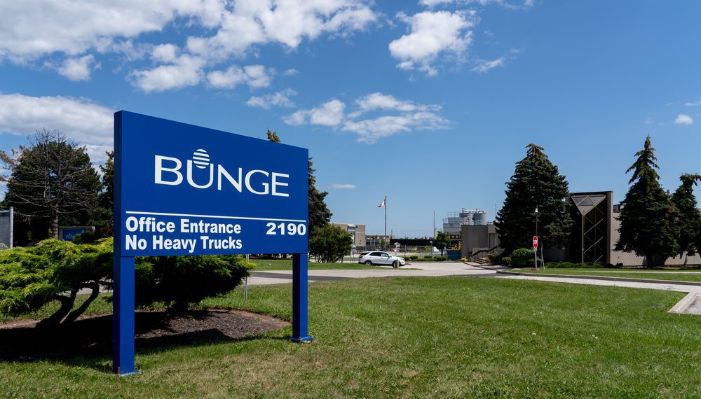 Bunge