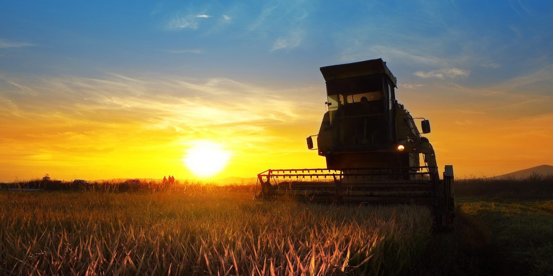 Agrishow: Santander prevê R$ 2 bi em negócios, com aposta em consórcio e taxas pré-fixadas