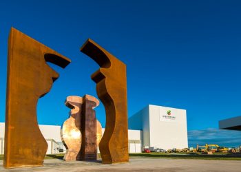 Pauta ambiental e diversidade são os temas considerados importantes pelos consumidores