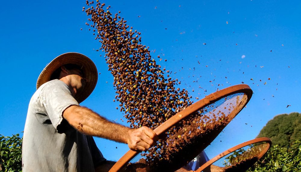 Agricultura familiar terá juros mais baixos para produção de alimentos