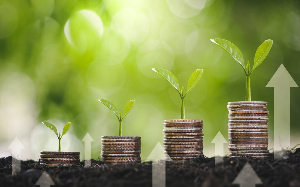 Crescera e Triaxis recebem inscrições para novo fundo para startups focado em ESG