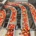Indústria de alimentos do Brasil gera 70 mil vagas de emprego em 2023