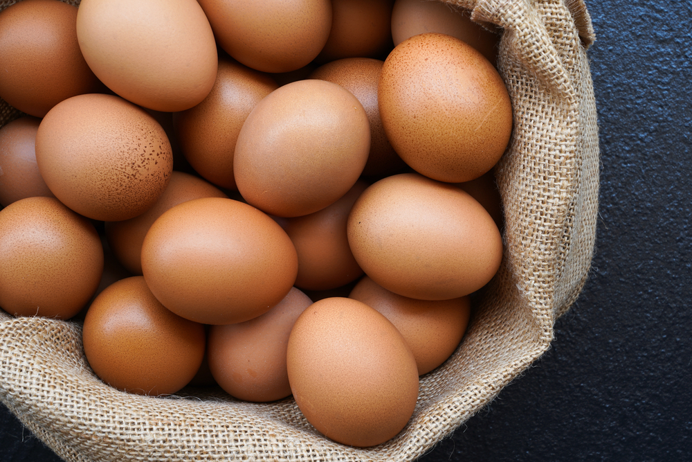 Exportação brasileira de ovos cresce 150% no 1º semestre; para 16,6 mil t