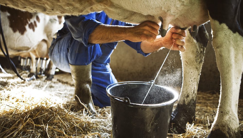 Trabalhadores pedem redução de juros para produzir alimentos no Brasil