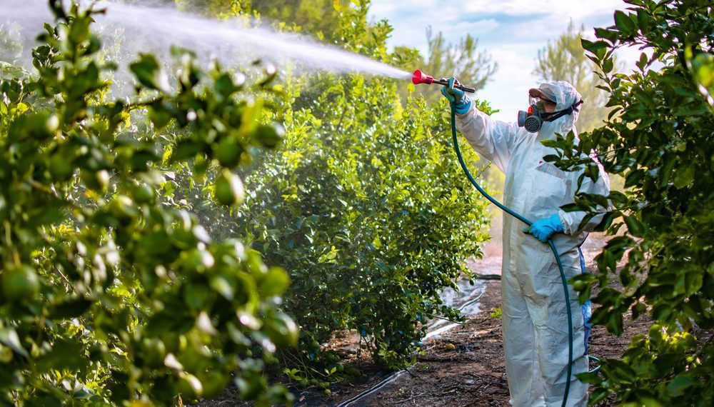 Ministro da Agricultura defende alimentos seguros com cada vez menos pesticidas