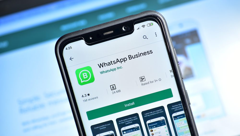 MG: WhatsApp lidera preferência de microempresários em plataformas digitais