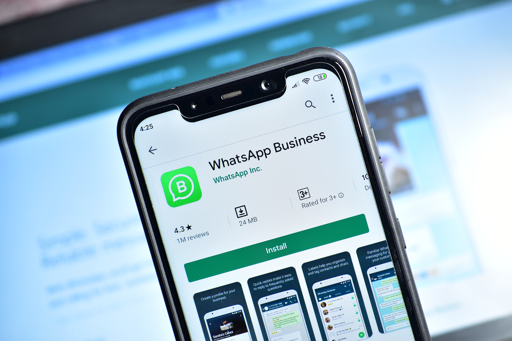 MG: WhatsApp lidera preferência de microempresários em plataformas digitais