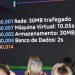 Magalu lança serviço de nuvem para auxiliar empresas em sua jornada de digitalização