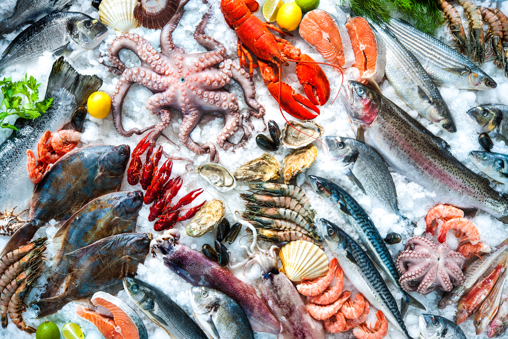 Frescatto e Prime Seafood concretizam maior fusão da história do setor de pescados no Brasil