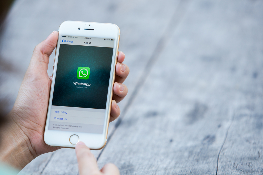 WhatsApp mudou de cor? App de mensagens tem nova cara com atualização