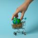 Preços altos impedem brasileiros de adotar consumo mais sustentável