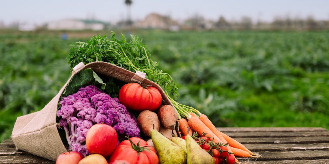 Alimentação sustentável: entre a teoria e a prática, um chamado para atitudes conscientes