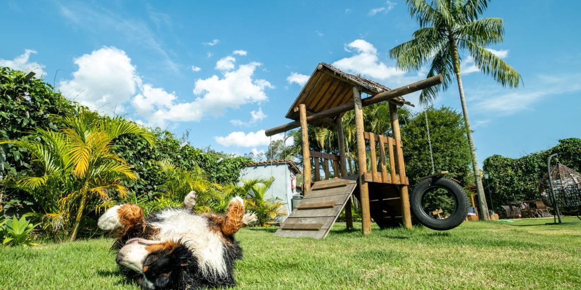 Villa Ayê lança medelo de franquia de pousada boutique 100% pet friendly