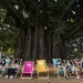 Parque do Ibirapuera ensina como turbinar resultados com patrocínios e ativações de marcas