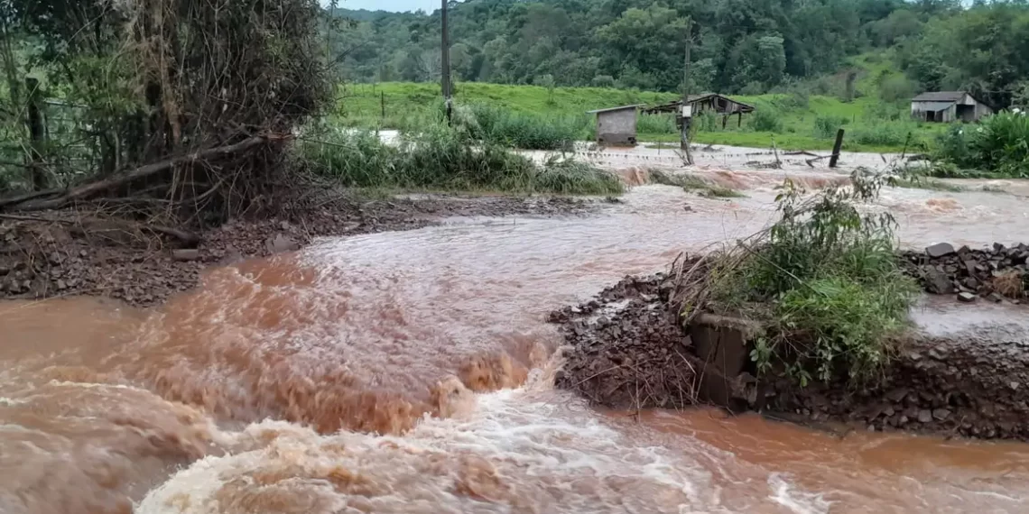 Criadores estimam perda de R$ 40 milhões no RS com morte de suínos e danos a propriedades