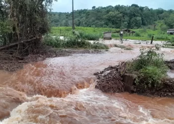 Criadores estimam perda de R$ 40 milhões no RS com morte de suínos e danos a propriedades