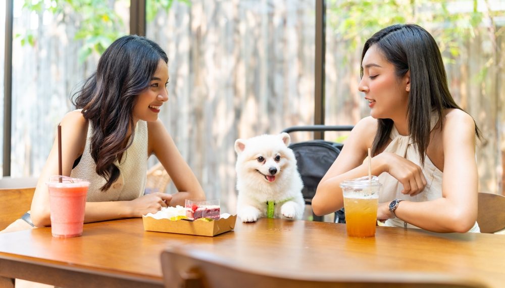 Equilíbrio entre tecnologia e humanidade: o caminho para o crescimento e impacto positivo das redes de foodservice