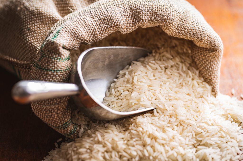 Governo não desistiu da compra de arroz e novo leilão está sendo estruturado, diz Fávaro