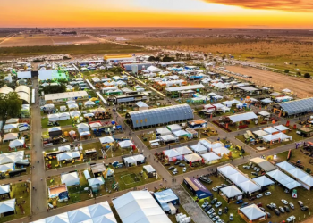 Bahia Farm Show