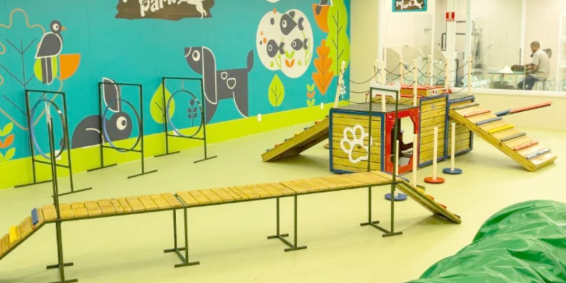 Cobasi inaugura PetPark e PetCafé mirando na experiência do cliente