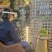 Produtores de hortifruti usam tecnologia para inovar a experiência do consumidor