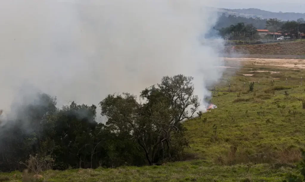 Incêndios em SP devem afetar preços do açúcar e do etanol, diz CEO da Orplana