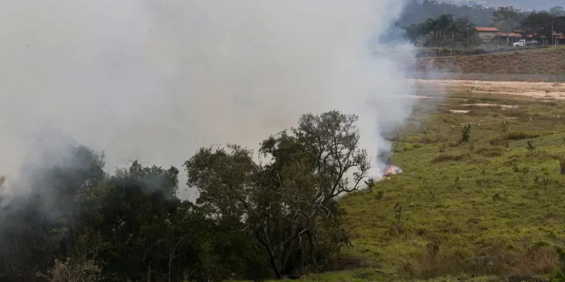 Incêndios em SP devem afetar preços do açúcar e do etanol, diz CEO da Orplana