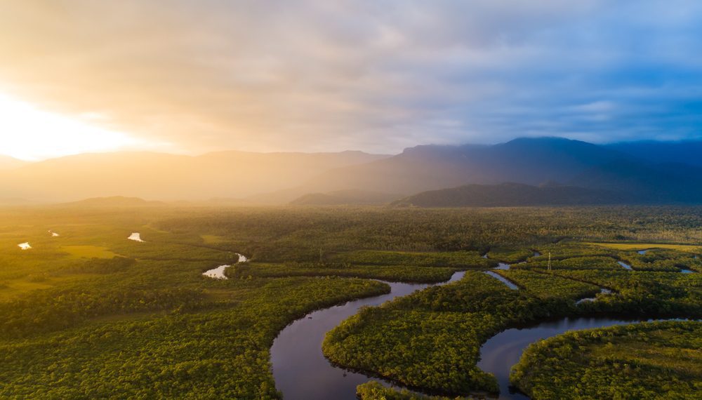 Desembolsos do BNDES para Amazônia Legal batem R$ 10,4 bi em 2024 até setembro